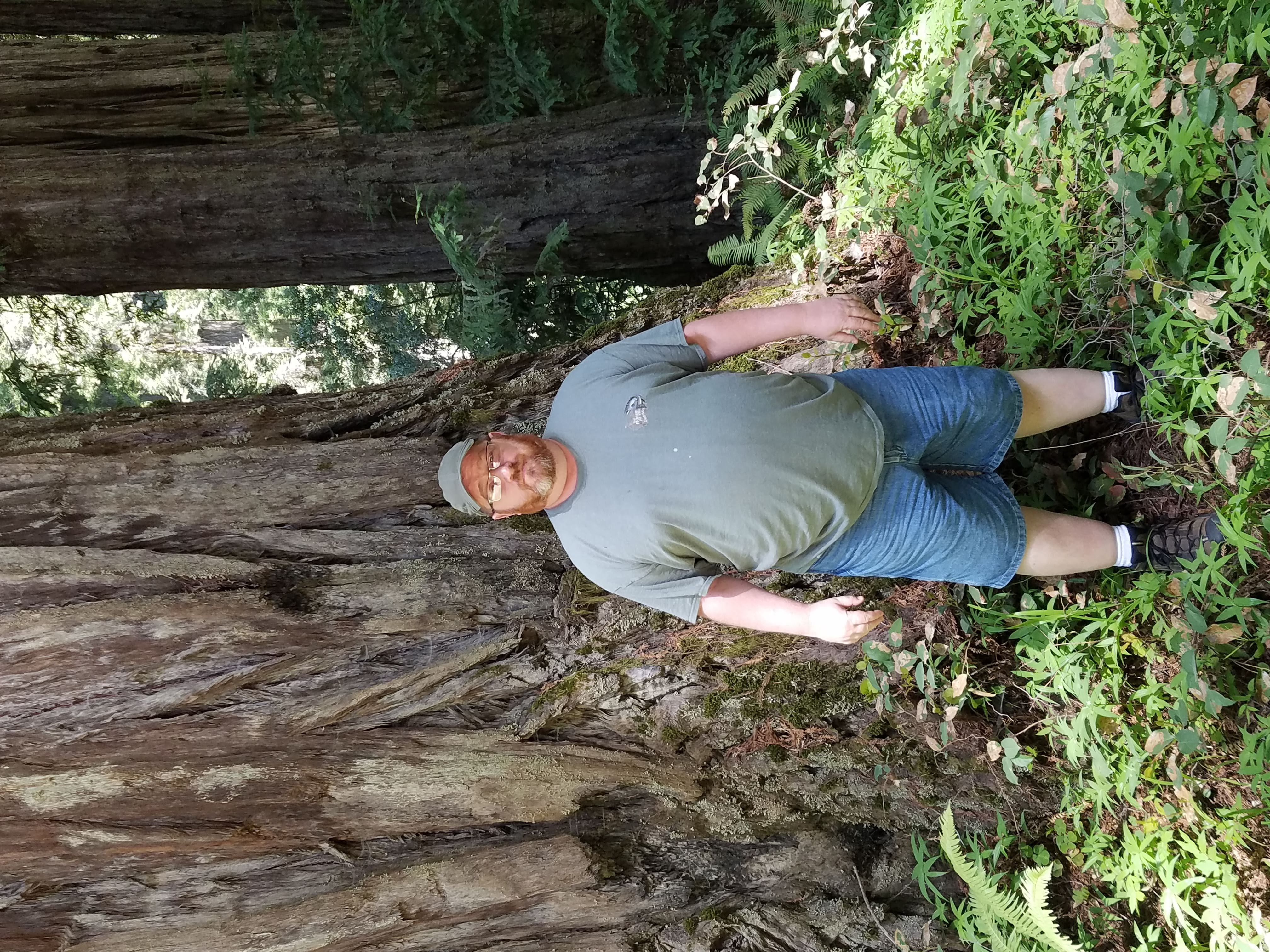 Redwoods National Park