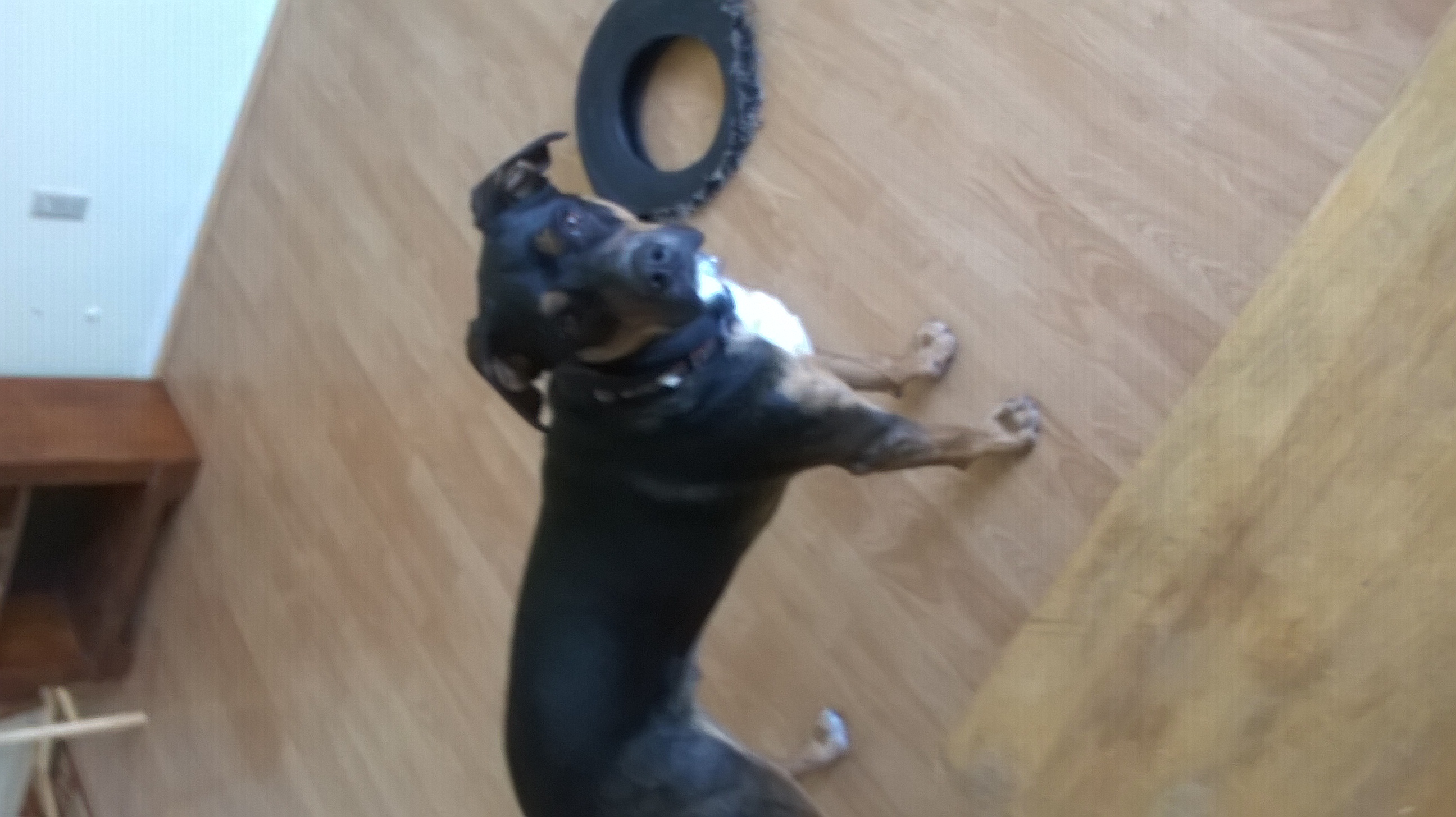 Winchester being Winchester.