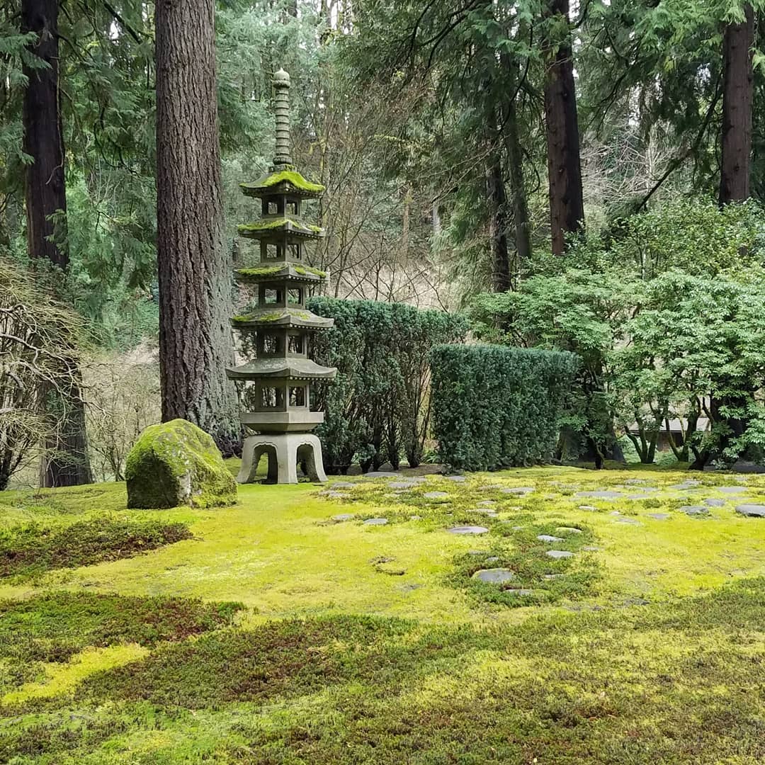 A lovely afternoon spent with Angelica at the Portland Japanese Garden.