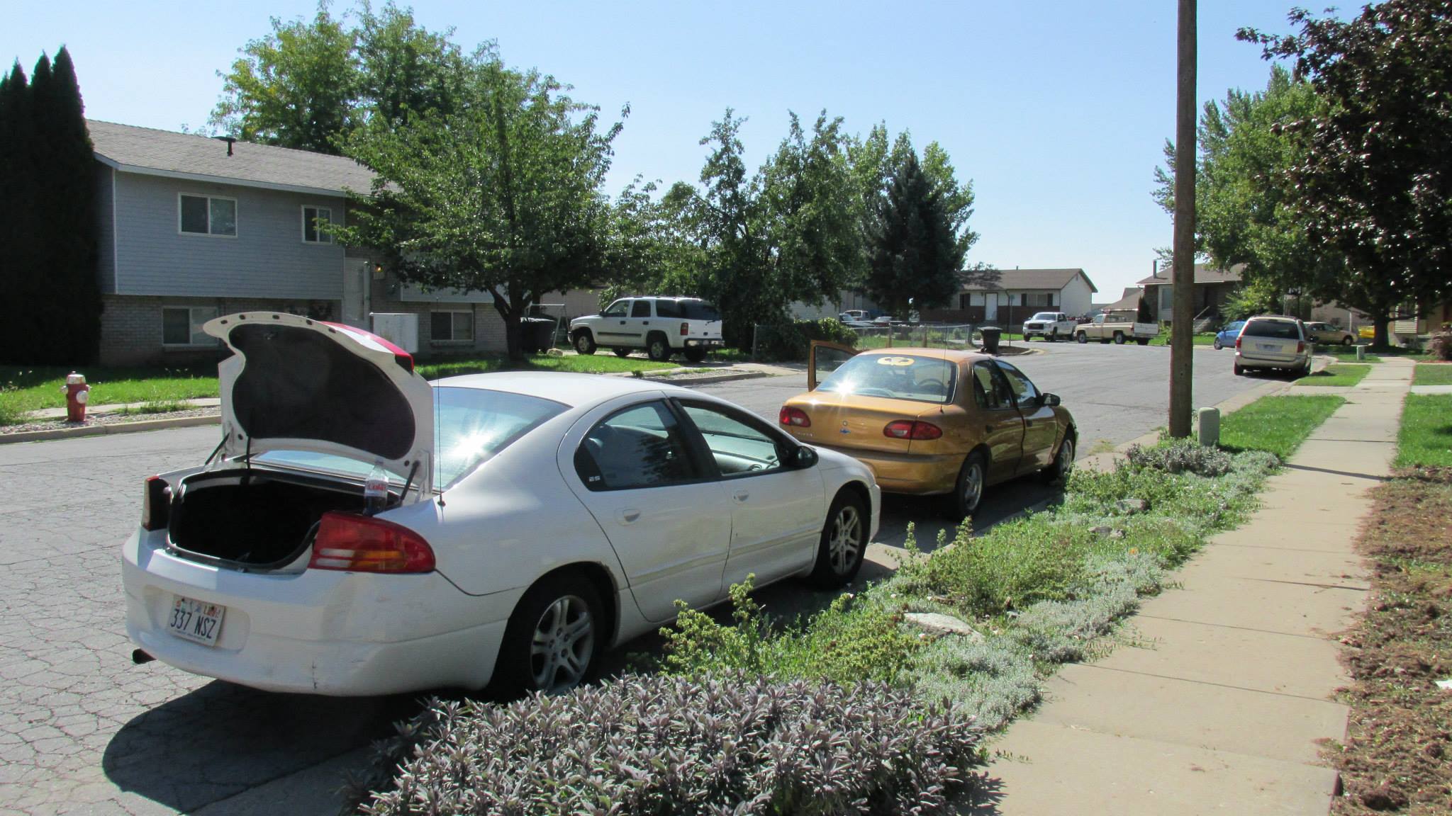 packing up for range day